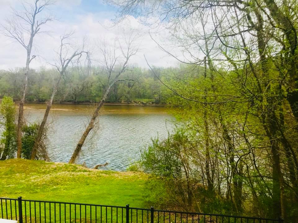 Scenic riverside view with lush greenery and a calm river.